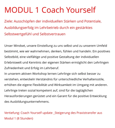 MODUL 1 Coach Yourself Ziele: Ausschöpfen der individuellen Stärken und Potentiale, Ausbildungserfolg im Lehrbetrieb durch ein gestärktes Selbstwertgefühl und Selbstvertrauen  Unser Mindset, unsere Einstellung zu uns selbst und zu unserem Umfeld bestimmt, wie wir wahrnehmen, denken, fühlen und handeln. Ein positives Selbstbild, eine vielfältige und positive Gestaltung der individuellen Erlebniswelt und Kenntnis der eigenen Stärken ermöglicht den Lehrlingen Zufriedenheit und Erfolg im Lehrberuf.  In unserem aktiven Workshop lernen Lehrlinge sich selbst besser zu verstehen, entwickeln Verständnis für unterschiedliche Verhaltensstile, erhöhen die eigene Flexibilität und Wirksamkeit im Umgang mit anderen. Lehrlinge treten sozial kompetent auf, sind für die tagtäglichen Herausforderungen gerüstet und ein Garant für die positive Entwicklung des Ausbildungsunternehmens.   Vertiefung: Coach Yourself update _Steigerung des Praxistransfer aus Modul 1 (8 Stunden)