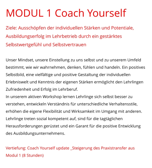 MODUL 1 Coach Yourself Ziele: Ausschöpfen der individuellen Stärken und Potentiale, Ausbildungserfolg im Lehrbetrieb durch ein gestärktes Selbstwertgefühl und Selbstvertrauen  Unser Mindset, unsere Einstellung zu uns selbst und zu unserem Umfeld bestimmt, wie wir wahrnehmen, denken, fühlen und handeln. Ein positives Selbstbild, eine vielfältige und positive Gestaltung der individuellen Erlebniswelt und Kenntnis der eigenen Stärken ermöglicht den Lehrlingen Zufriedenheit und Erfolg im Lehrberuf.  In unserem aktiven Workshop lernen Lehrlinge sich selbst besser zu verstehen, entwickeln Verständnis für unterschiedliche Verhaltensstile, erhöhen die eigene Flexibilität und Wirksamkeit im Umgang mit anderen. Lehrlinge treten sozial kompetent auf, sind für die tagtäglichen Herausforderungen gerüstet und ein Garant für die positive Entwicklung des Ausbildungsunternehmens.   Vertiefung: Coach Yourself update _Steigerung des Praxistransfer aus Modul 1 (8 Stunden)