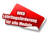 Lehrlingsfoerderung WKO