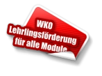 Lehrlingsfoerderung WKO
