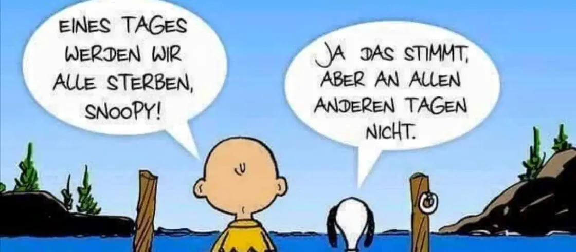 Perspektivenwechsel